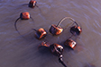 jewelry37
