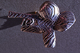 jewelry61