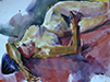 paintings and etchings 03