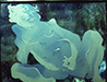 paintings and etchings 11